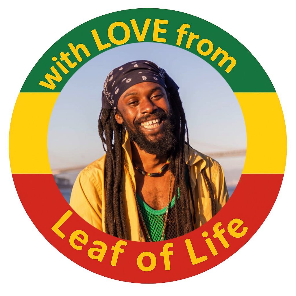 Baby’s 1st Book of Patwah - bilingual | Learn Jamaican Patois | Children’s Board Book