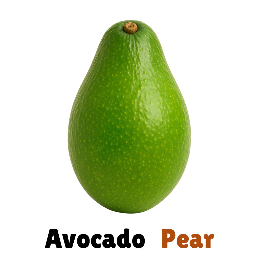 Baby’s 1st Book of Patwah - bilingual | Learn Jamaican Patois | Children’s Board Book